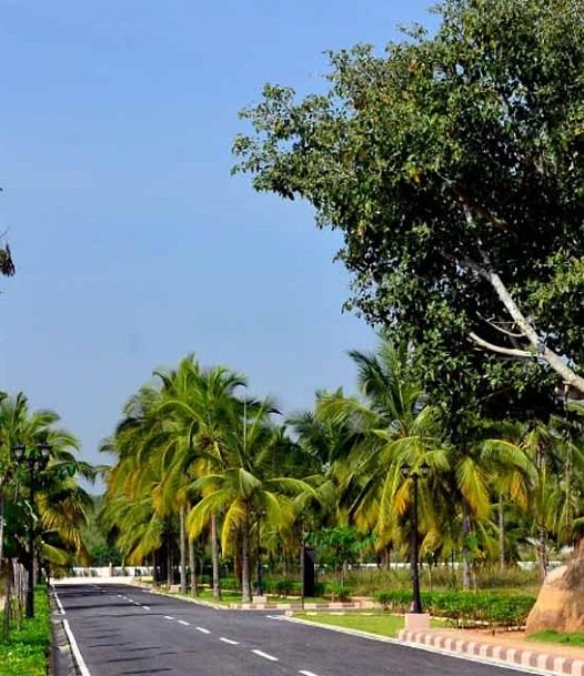 overview image Sobha Chartered Birdsong